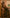 Lassitude Dark Green Soft Silk Saree