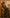 Lassitude Dark Green Soft Silk Saree