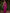 Marvellous Dark Pink Cotton Silk Saree