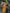 Ethnic Mustard Cotton Silk Saree