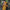 Ethnic Mustard Cotton Silk Saree