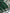 Energetic Dark Green Soft Banarasi Silk Saree