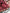 Mesmerising Maroon Soft Banarasi Silk Saree