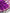 Blooming Purple Soft Banarasi Silk Saree