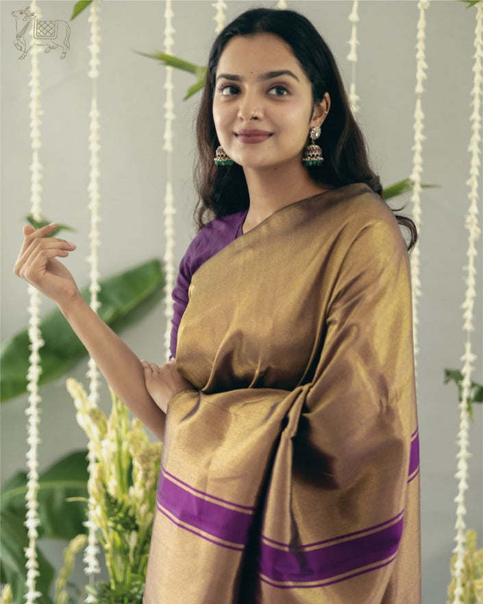 Fancifull Dark Lavendor Soft Silk Saree