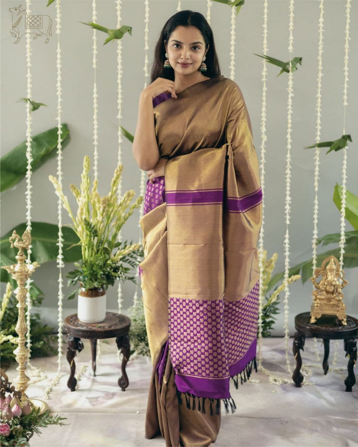 Fancifull Dark Lavendor Soft Silk Saree