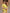 Yellow Floral Printed Cotton Silk Saree
