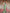 Green & Multi Floral Printed Cotton Silk Saree