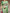 Green & Multi Floral Printed Cotton Silk Saree