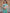 Tiffany Blue & Off White Floral Printed Cotton Silk Saree