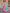 Sky Blue & Pink Floral Printed Cotton Silk Saree