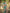 Pine Green & Beige Floral Printed Cotton Silk Saree