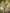 Pine Green & Beige Floral Printed Cotton Silk Saree