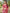 Deep Rose Floral Printed Cotton Silk Saree
