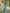 Teal Blue Floral Printed Cotton Silk Saree