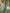 Teal Blue Floral Printed Cotton Silk Saree