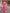 Rani Pink Floral Printed Cotton Silk Saree