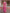 Rani Pink Floral Printed Cotton Silk Saree