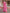 Rani Pink Floral Printed Cotton Silk Saree