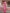 Rani Pink Floral Printed Cotton Silk Saree
