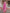 Rani Pink Floral Printed Cotton Silk Saree