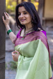 Mint Aura Banarasi Silk Saree with Royal Purple Zari Border