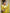 Hema Yellow Banarasi Silk Saree WIth Fabulouse Blouse Piece