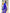 Bhavika – Banarasi Soft Silk Saree in Royal Blue