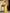 Hema Yellow Banarasi Silk Saree WIth Fabulouse Blouse Piece