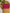 Rangvalli - Pink Silk Saree with Geometric Gold Zari Weave