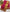 Rangvalli - Pink Silk Saree with Geometric Gold Zari Weave