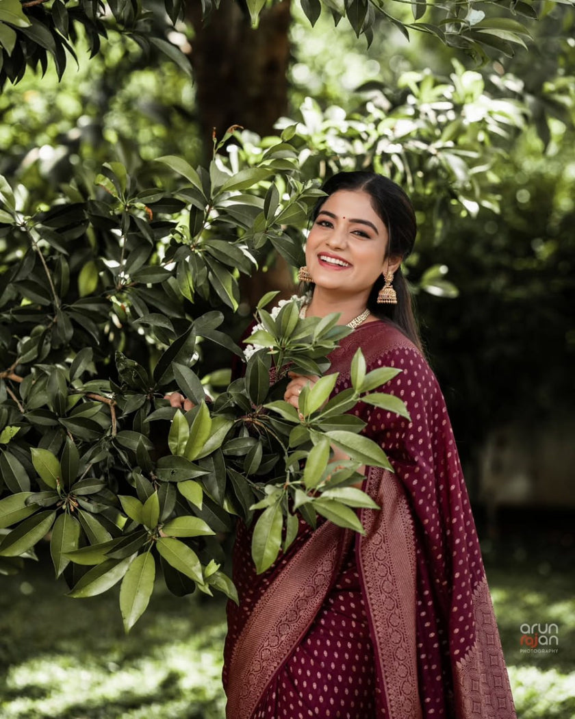 Shaambhavi – Maroon Banarasi Silk Saree with Traditional Woven Pallu & Border