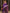 Vijayalakshmi - Purple Kanjivaram Silk Saree with Gold Paisley Zari Border