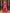 Vijayalakshmi - Pink Kanjivaram Silk Saree with Gold Paisley Zari Border