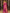 Vijayalakshmi - Pink Kanjivaram Silk Saree with Gold Paisley Zari Border