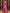 Vijayalakshmi - Pink Kanjivaram Silk Saree with Gold Paisley Zari Border