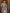 Vimla - Sky Blue Banarasi Silk Saree with Golden Paisley Weaving