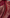 Maroon Banarasi Silk Saree with Golden Zari Buttas & Traditional Border