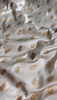 Ivory Banarasi Silk Saree with Golden Zari Buttas & Rich Paisley Border