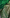 Emerald Green Banarasi Silk Saree with Golden Zari Buttas & Rich Pallu