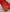 Ambika – Red Kanjivaram Silk Saree with Traditional Jacquard Work