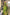 Bhavna - Green Pure Linen Silk Saree with Jacquard Weaving