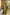 Bhavna - Green Pure Linen Silk Saree with Jacquard Weaving