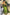Bhavna - Green Pure Linen Silk Saree with Jacquard Weaving