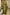Bhavna - Green Pure Linen Silk Saree with Jacquard Weaving