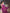 Sitara - Purple Banarasi Silk Saree with Jacquard Weave and Matching Blouse