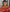 Shantibai – Red Soft Banarasi Silk Saree with Jacquard Weaving