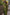 Kamini – Green Linen Silk Saree with Jacquard Weaving Detail