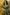 Kamini – Green Linen Silk Saree with Jacquard Weaving Detail