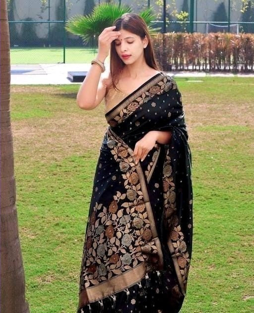 Chandrika - Black Soft Banarasi Silk Saree with Jacquard Weaving